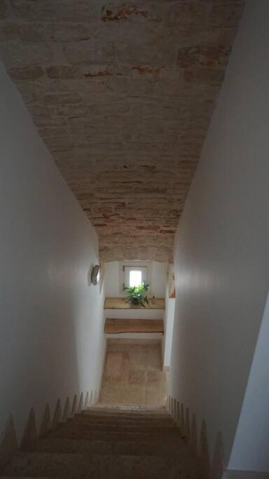 Il Sogno Di Saza Διαμέρισμα Castellana Grotte Εξωτερικό φωτογραφία
